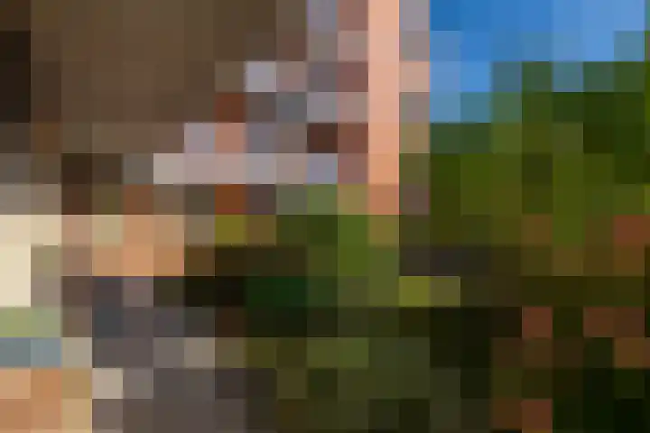 De Savornin Lohmanlaan 36 Zeist thumbnail 19