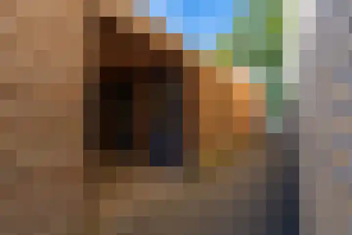 De Savornin Lohmanlaan 36 Zeist thumbnail 23