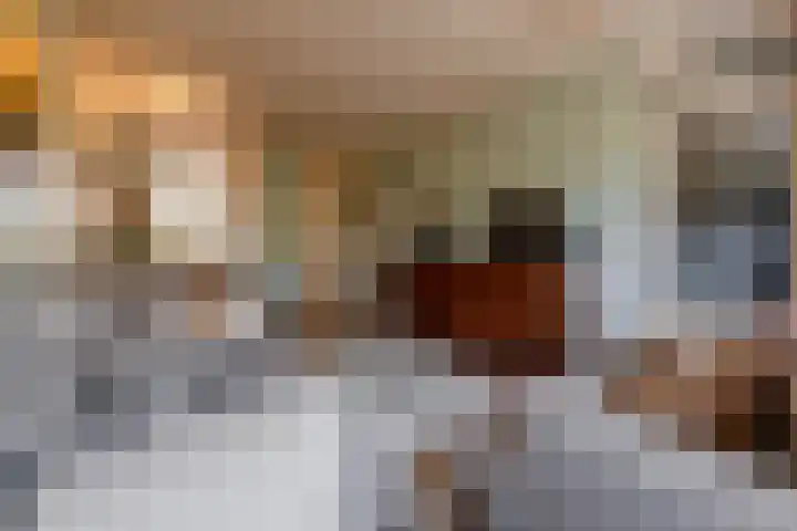 De Savornin Lohmanlaan 36 Zeist thumbnail 4