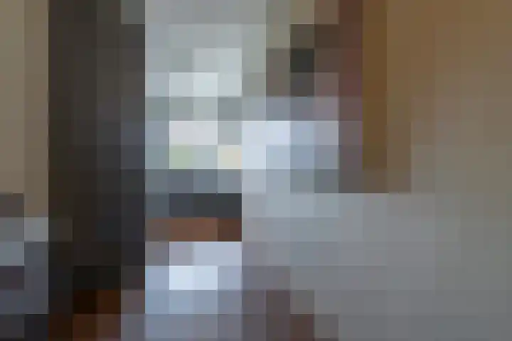 De Savornin Lohmanlaan 36 Zeist thumbnail 7