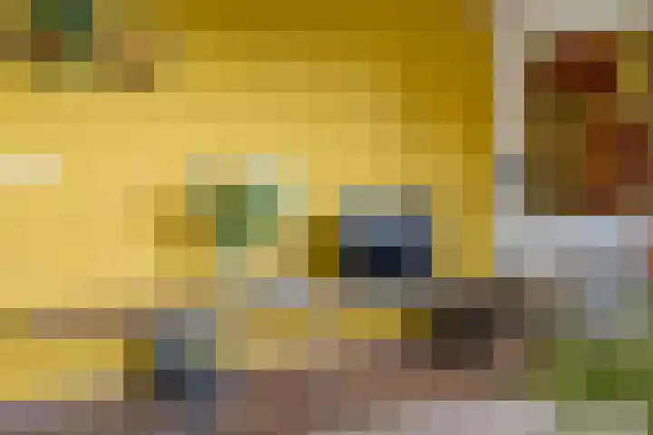 De Savornin Lohmanlaan 36 Zwolle thumbnail 10