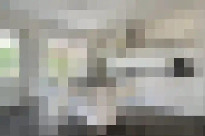 De Savornin Lohmanlaan 36 Zwolle thumbnail 14