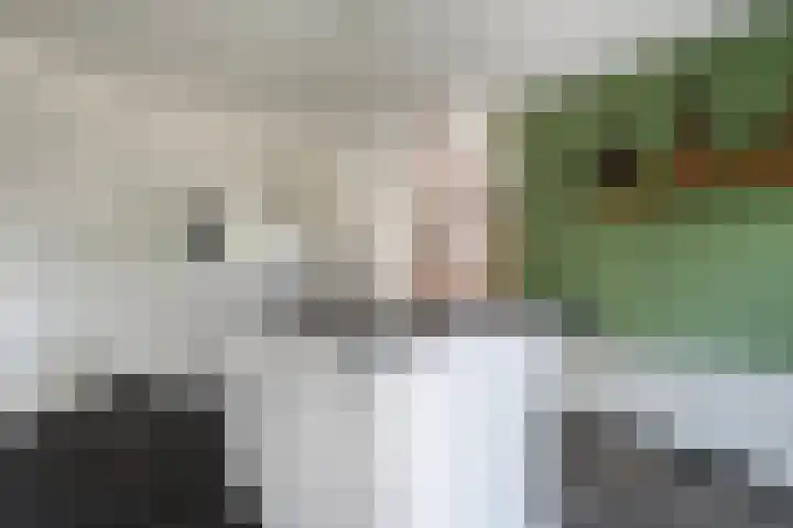 De Savornin Lohmanlaan 36 Zwolle thumbnail 16