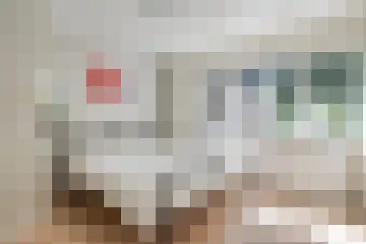 De Savornin Lohmanlaan 36 Zwolle thumbnail 20