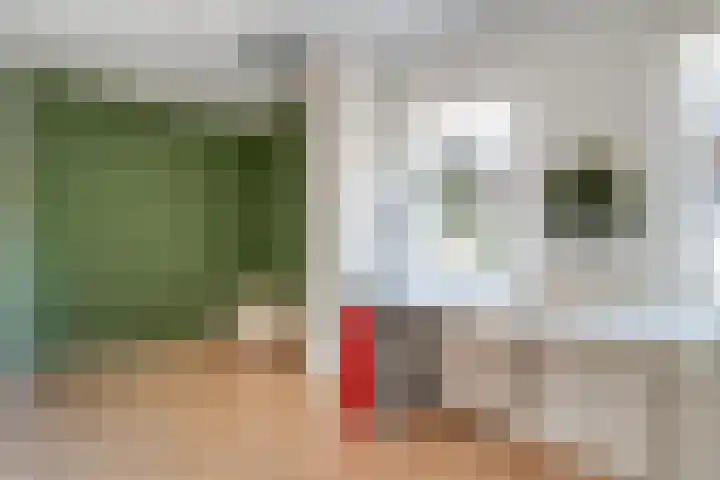 De Savornin Lohmanlaan 36 Zwolle thumbnail 22