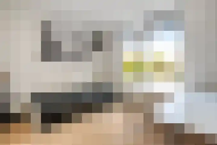 De Savornin Lohmanlaan 36 Zwolle thumbnail 24