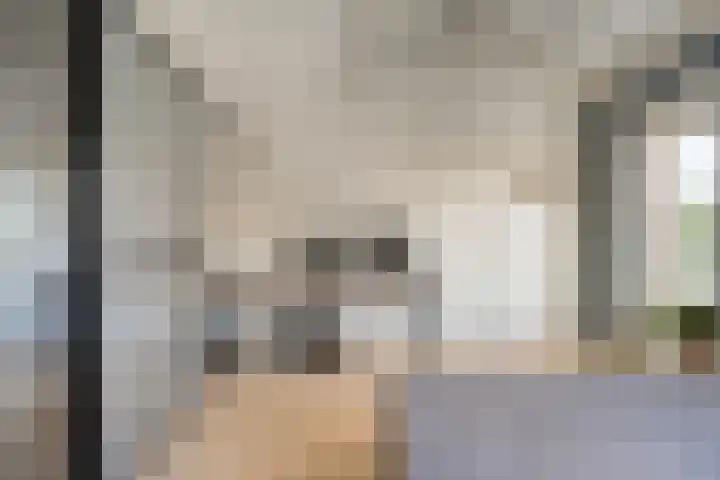 De Savornin Lohmanlaan 36 Zwolle thumbnail 27