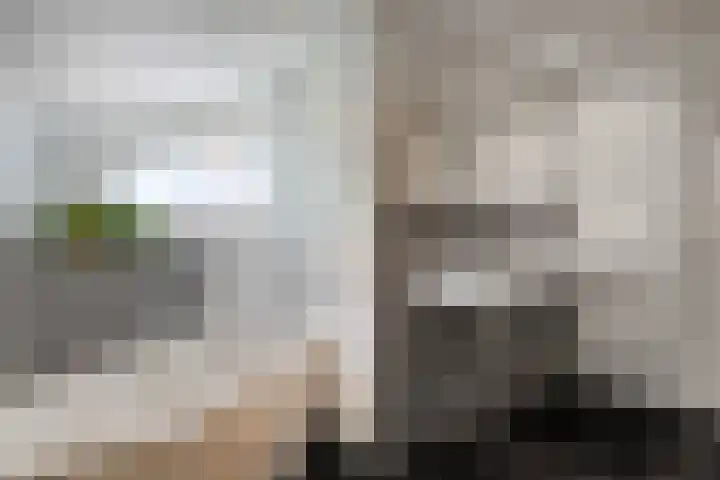 De Savornin Lohmanlaan 36 Zwolle thumbnail 29