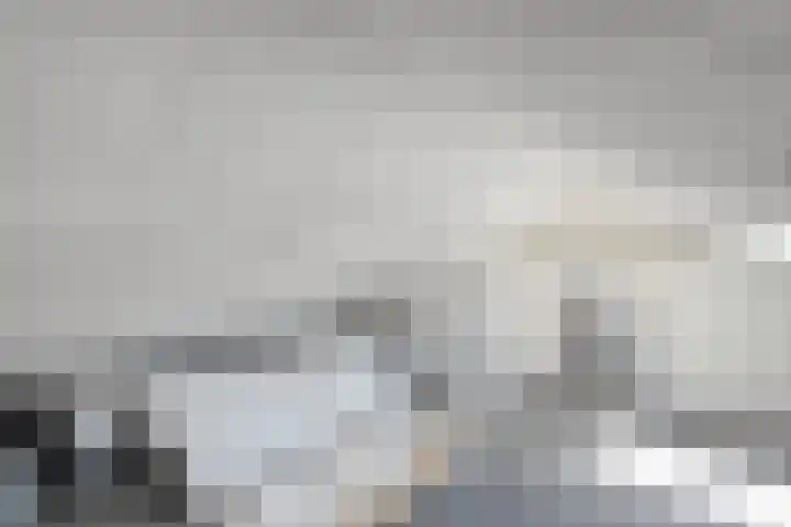 De Savornin Lohmanlaan 36 Zwolle thumbnail 31