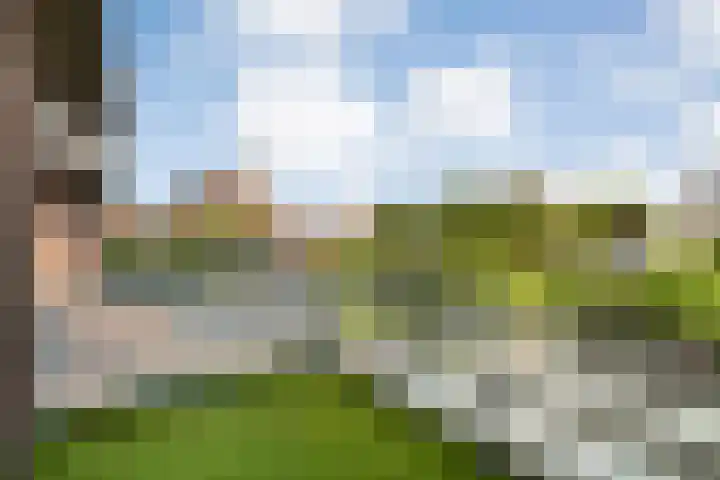 De Savornin Lohmanlaan 36 Zwolle thumbnail 34