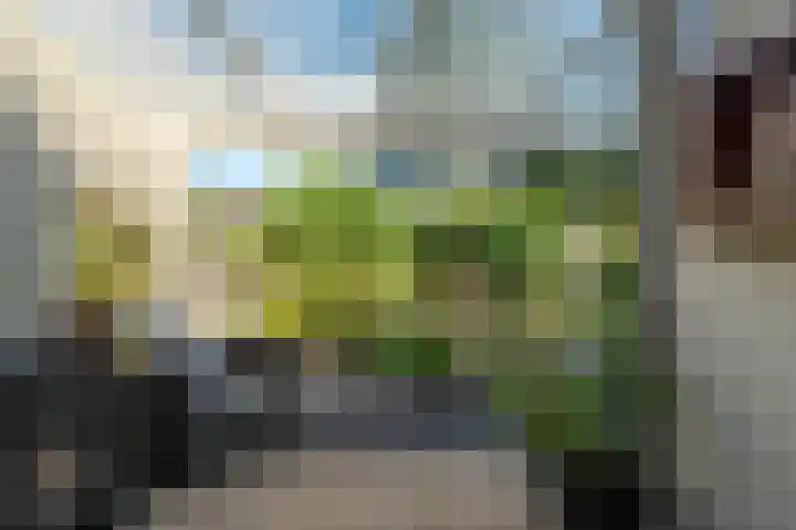 De Savornin Lohmanlaan 36 Zwolle thumbnail 36