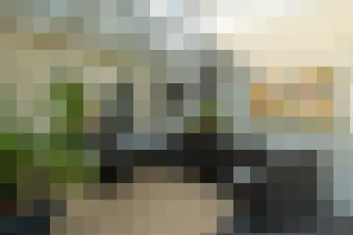 De Savornin Lohmanlaan 36 Zwolle thumbnail 37