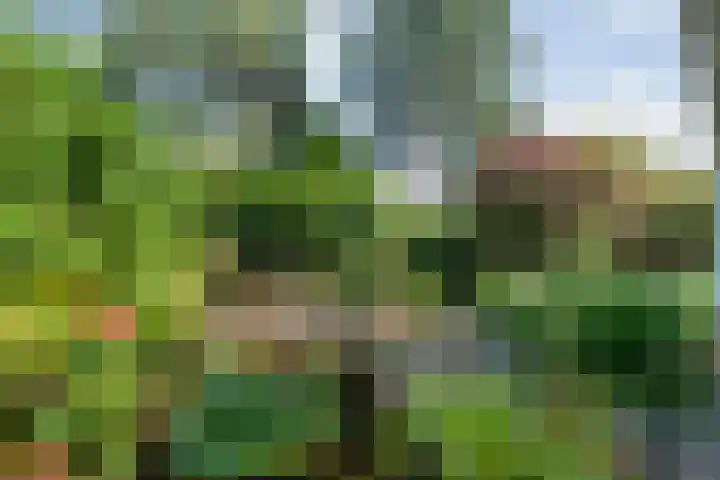 De Savornin Lohmanlaan 36 Zwolle thumbnail 38