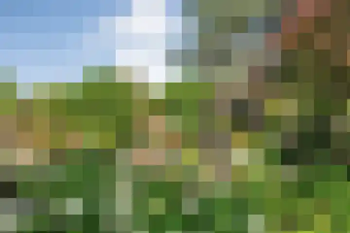 De Savornin Lohmanlaan 36 Zwolle thumbnail 39