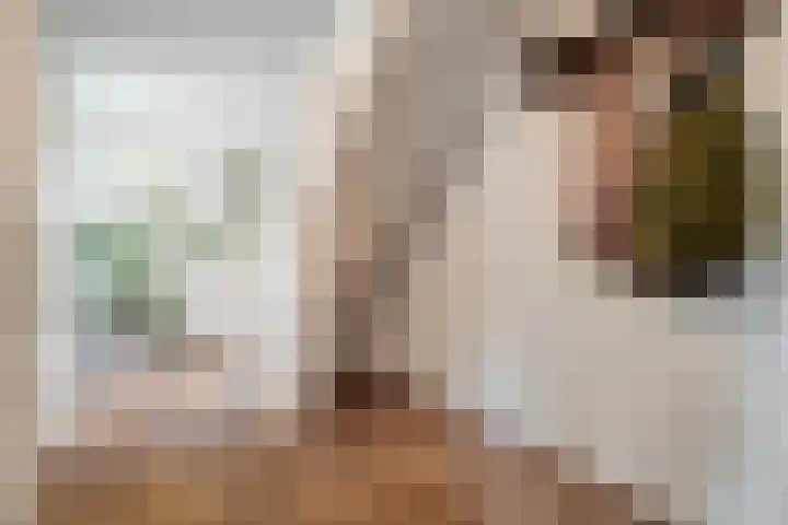 De Savornin Lohmanlaan 36 Zwolle thumbnail 4