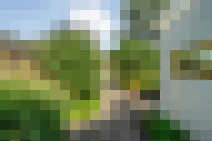De Savornin Lohmanlaan 36 Zwolle thumbnail 40