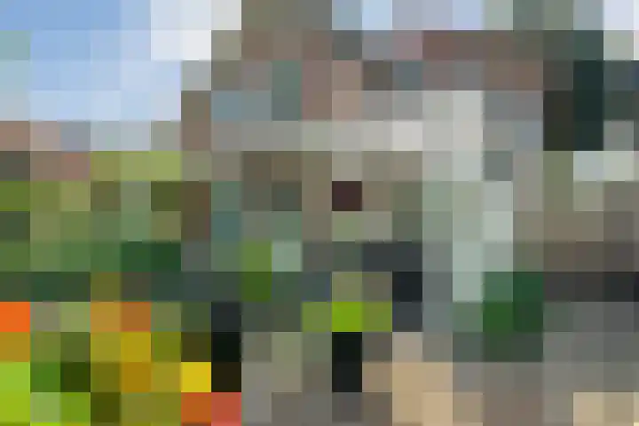 De Savornin Lohmanlaan 36 Zwolle thumbnail 41