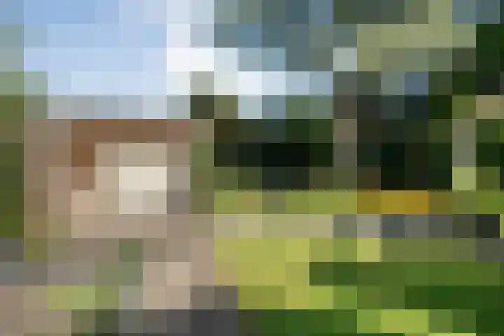 De Savornin Lohmanlaan 36 Zwolle thumbnail 42