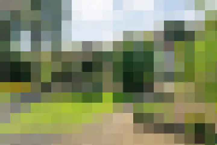 De Savornin Lohmanlaan 36 Zwolle thumbnail 43