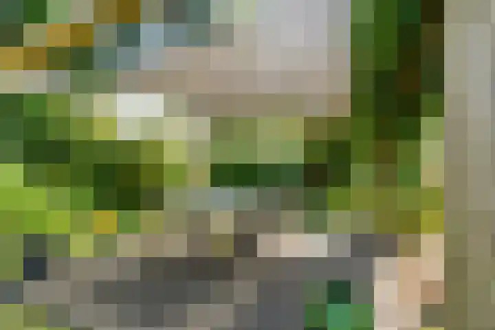 De Savornin Lohmanlaan 36 Zwolle thumbnail 44