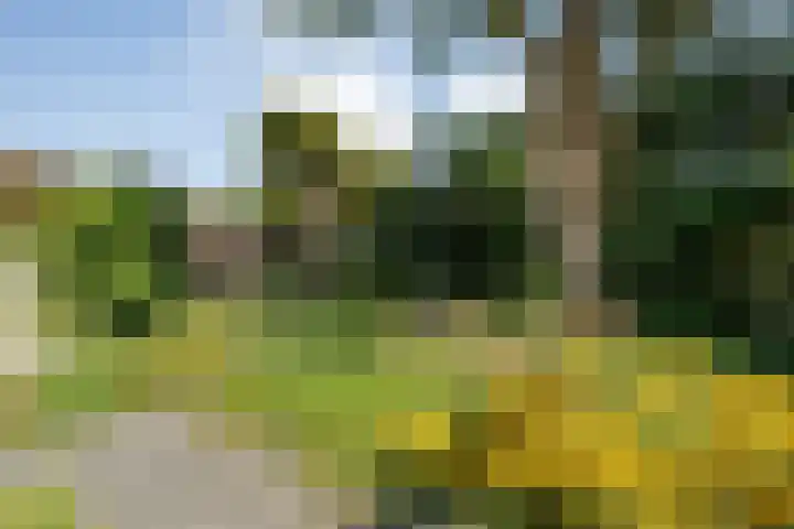 De Savornin Lohmanlaan 36 Zwolle thumbnail 45