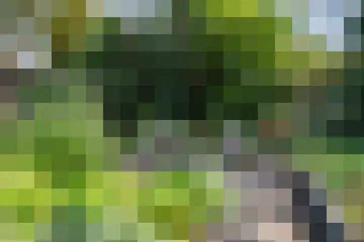 De Savornin Lohmanlaan 36 Zwolle thumbnail 46