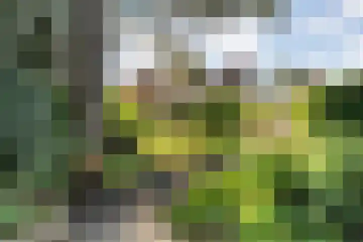 De Savornin Lohmanlaan 36 Zwolle thumbnail 47