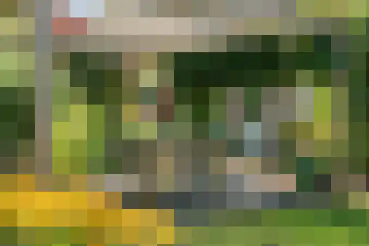 De Savornin Lohmanlaan 36 Zwolle thumbnail 48
