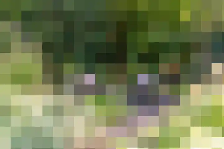 De Savornin Lohmanlaan 36 Zwolle thumbnail 49