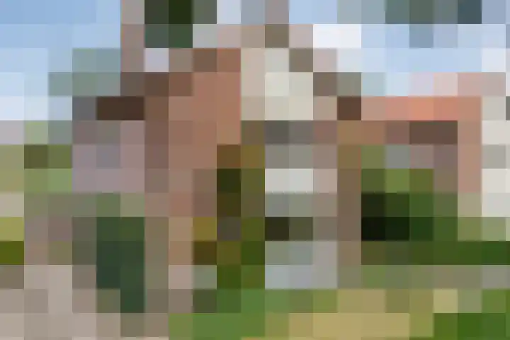 De Savornin Lohmanlaan 36 Zwolle thumbnail 50