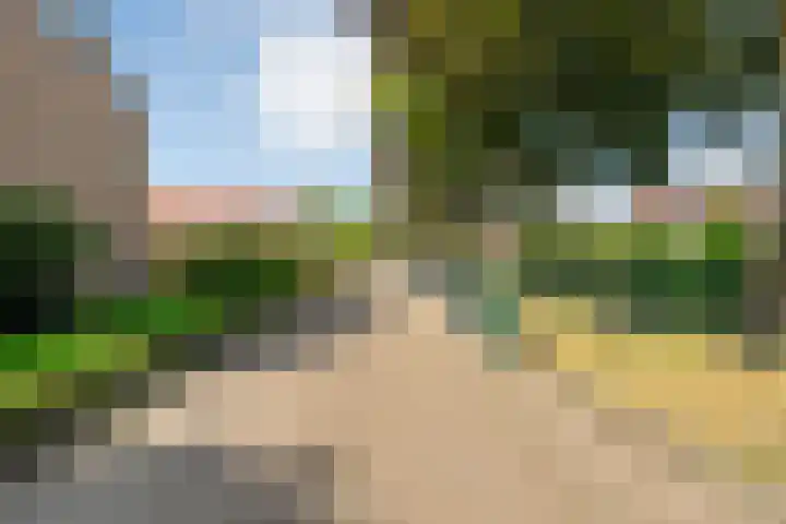 De Savornin Lohmanlaan 36 Zwolle thumbnail 53