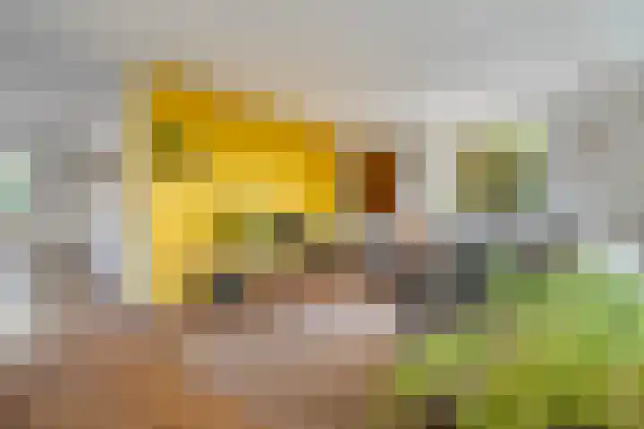 De Savornin Lohmanlaan 36 Zwolle thumbnail 7