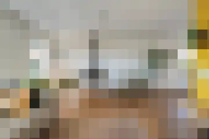 De Savornin Lohmanlaan 36 Zwolle thumbnail 8