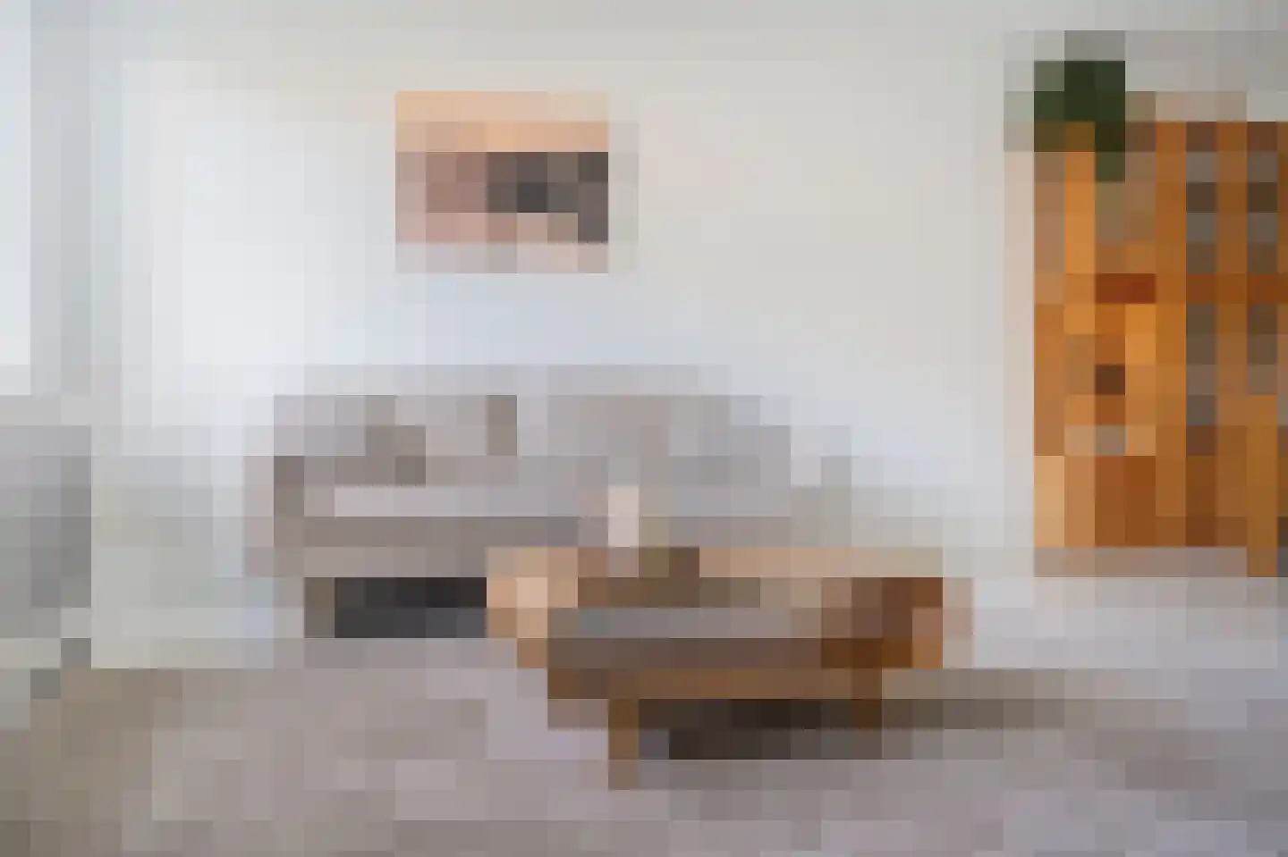 De Savornin Lohmanlaan 362 Den Haag thumbnail 12