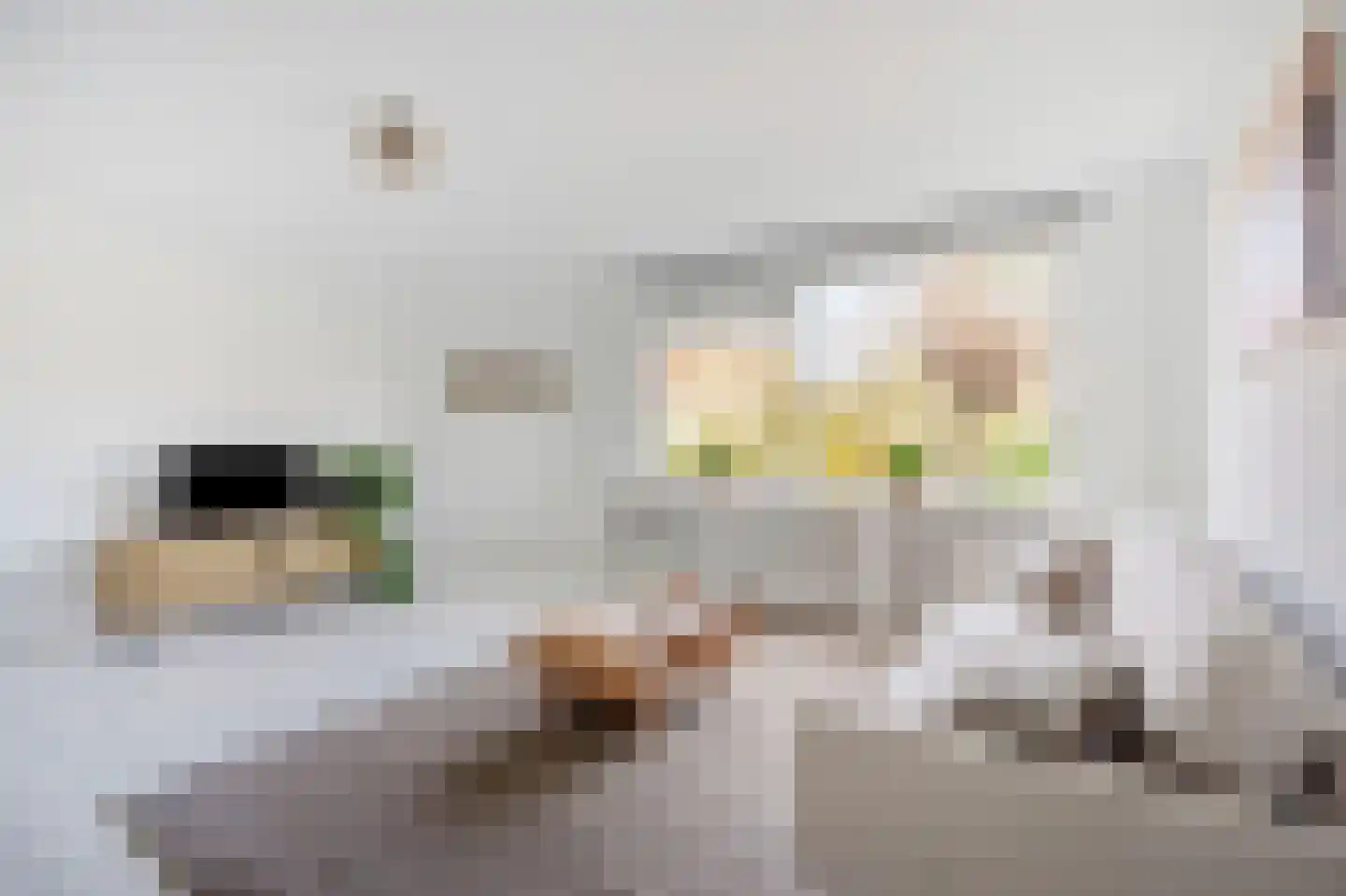 De Savornin Lohmanlaan 362 Den Haag thumbnail 14