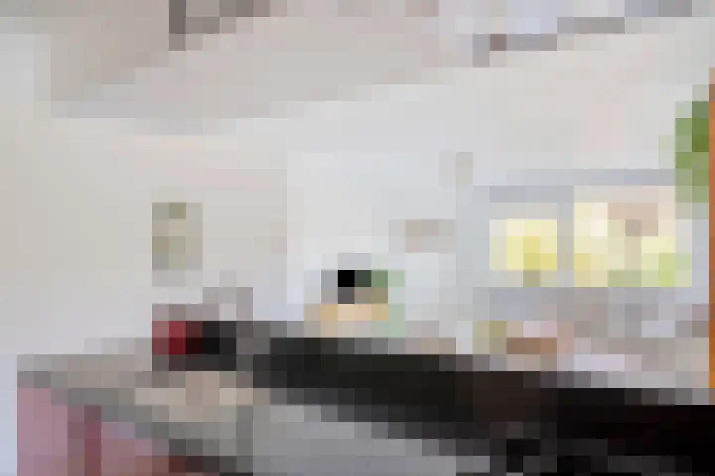 De Savornin Lohmanlaan 362 Den Haag thumbnail 21