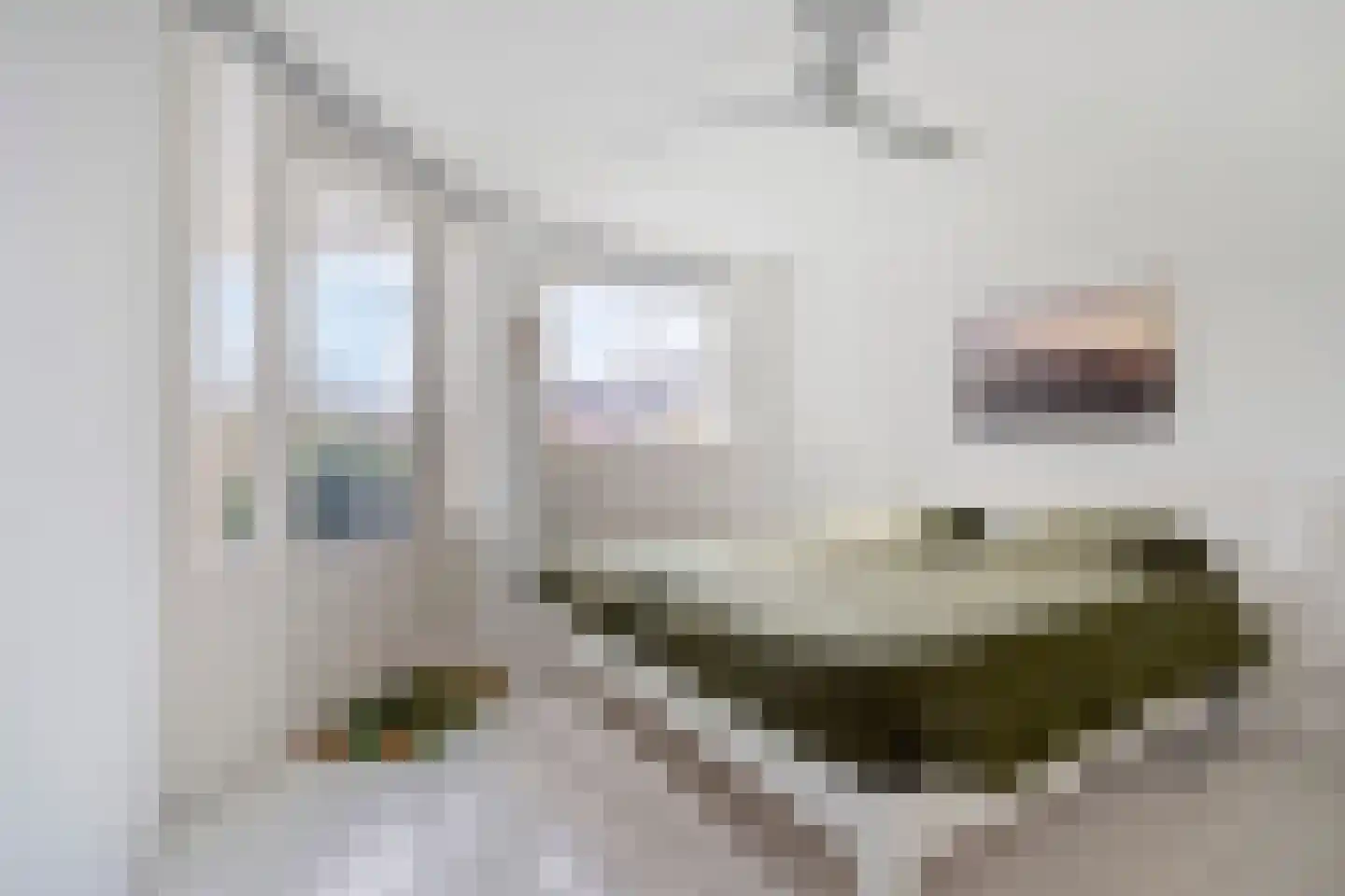 De Savornin Lohmanlaan 362 Den Haag thumbnail 22