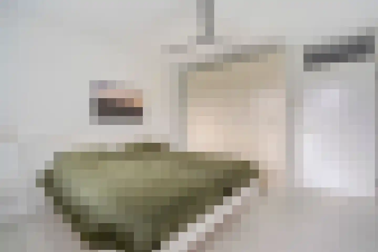 De Savornin Lohmanlaan 362 Den Haag thumbnail 23