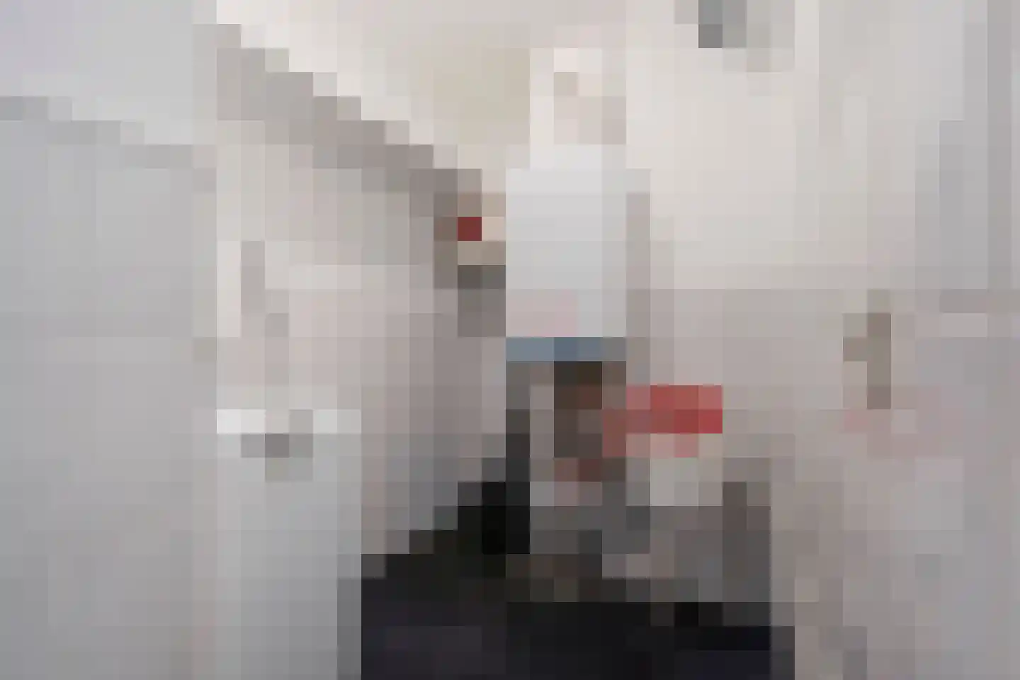 De Savornin Lohmanlaan 362 Den Haag thumbnail 28