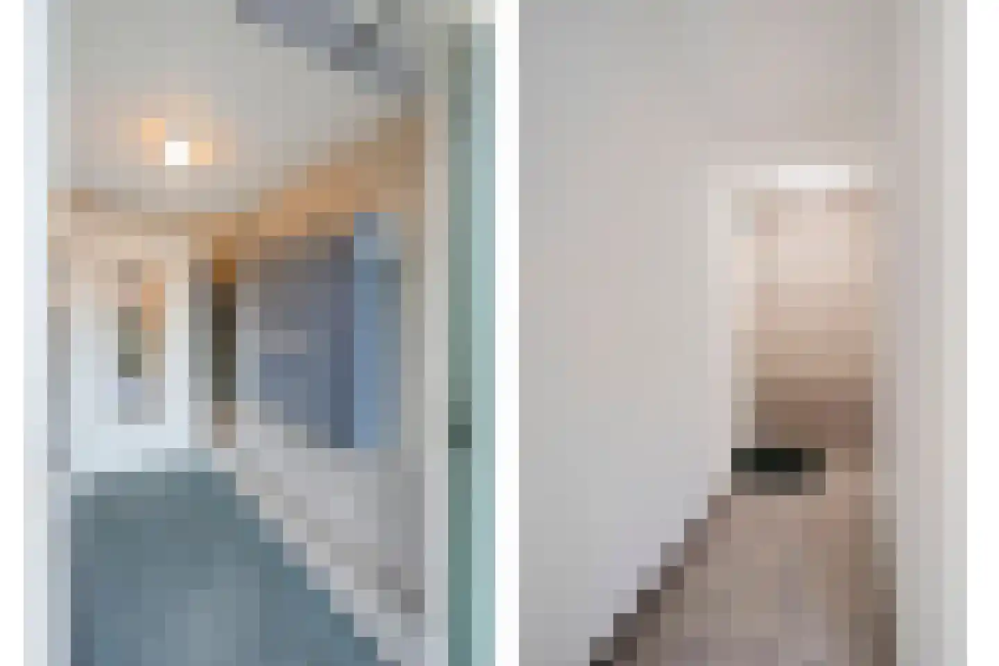 De Savornin Lohmanlaan 362 Den Haag thumbnail 8