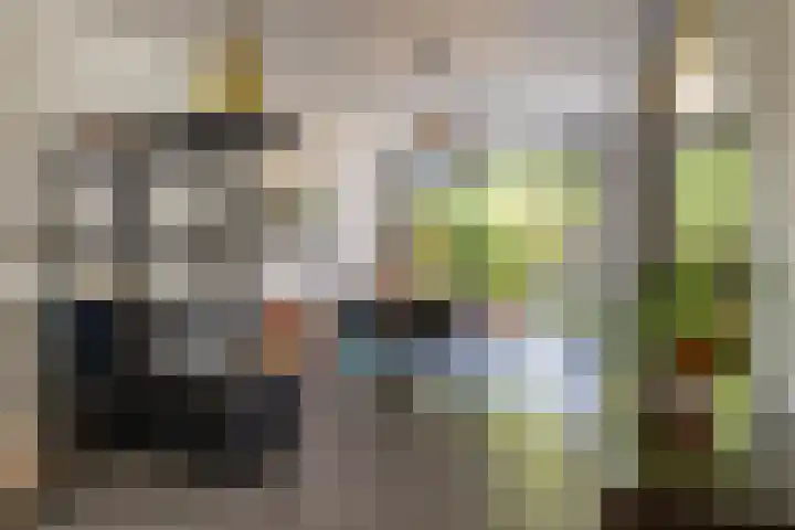 De Savornin Lohmanlaan 37 Groningen thumbnail 19