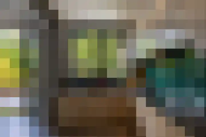 De Savornin Lohmanlaan 37 Groningen thumbnail 25