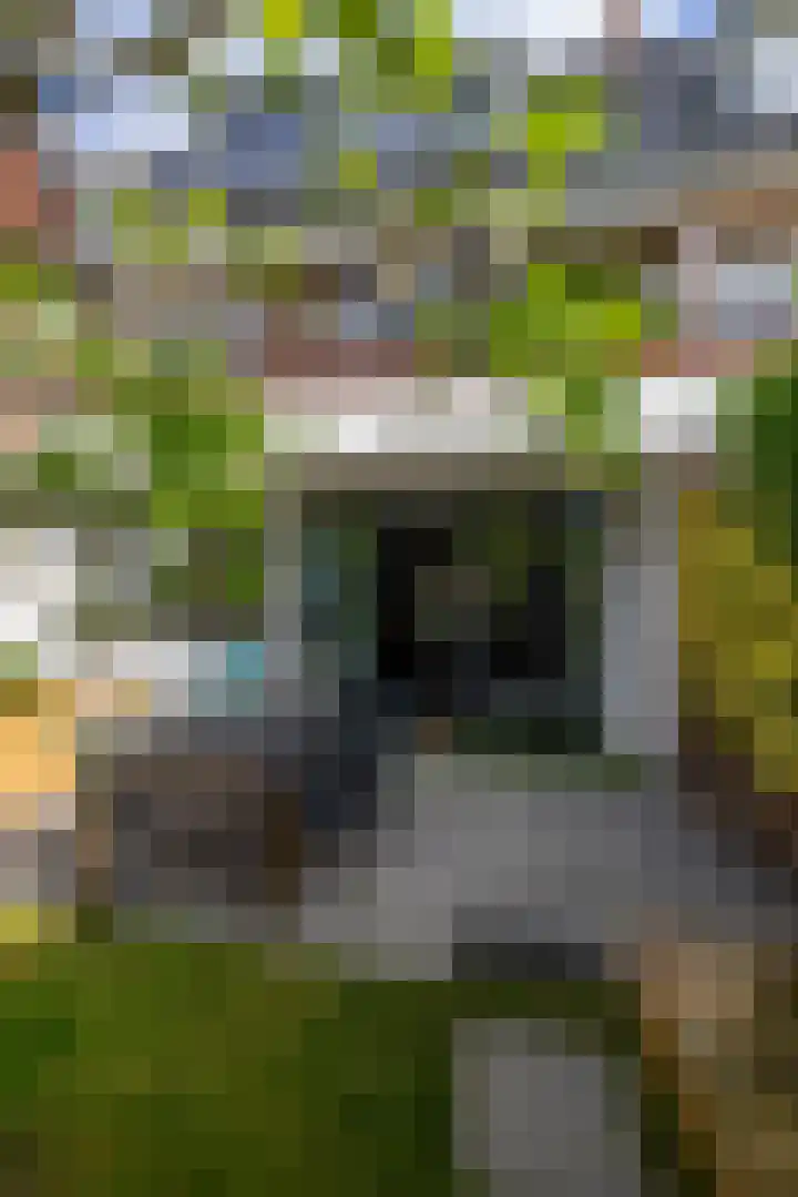 De Savornin Lohmanlaan 37 Groningen thumbnail 26