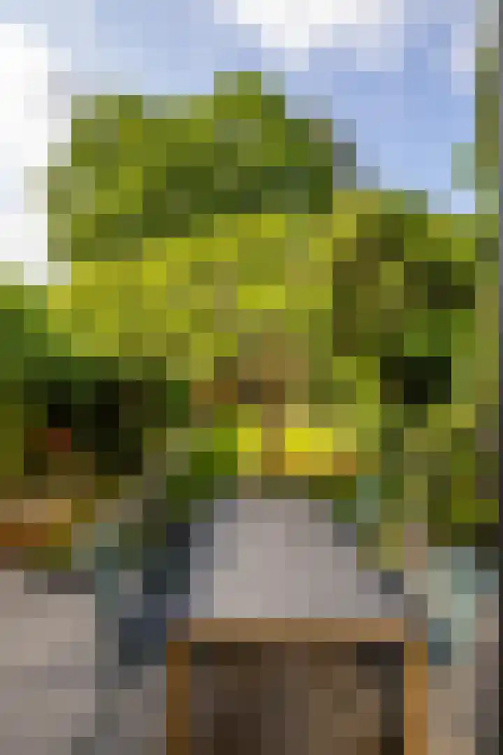 De Savornin Lohmanlaan 37 Groningen thumbnail 28