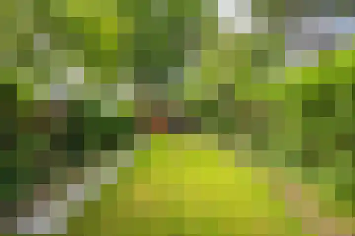 De Savornin Lohmanlaan 37 Groningen thumbnail 30