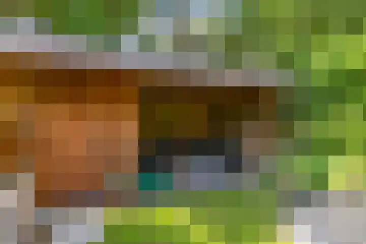 De Savornin Lohmanlaan 37 Groningen thumbnail 31