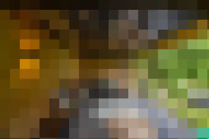 De Savornin Lohmanlaan 37 Groningen thumbnail 32