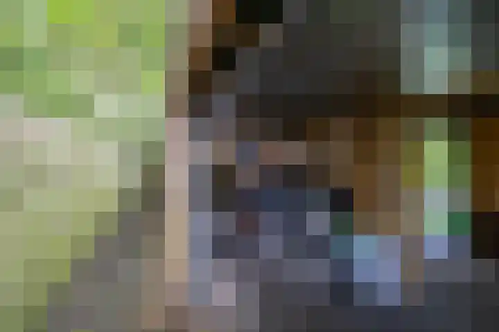 De Savornin Lohmanlaan 37 Groningen thumbnail 34