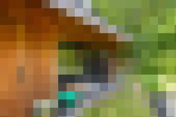 De Savornin Lohmanlaan 37 Groningen thumbnail 35