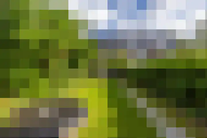 De Savornin Lohmanlaan 37 Groningen thumbnail 36